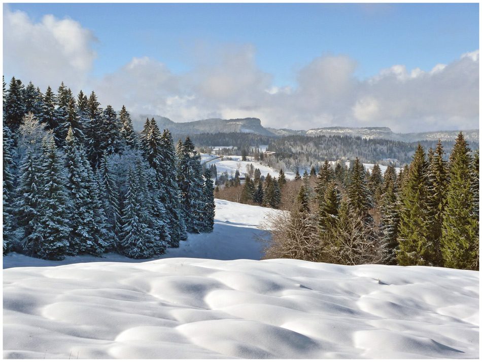 photo "Snow Waves" tags: landscape, winter