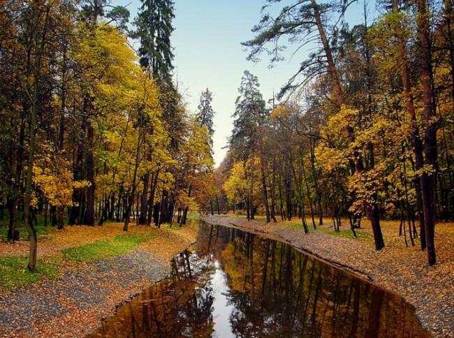 photo "осень,пейзаж,природа,деревья,парк" tags: landscape, city, autumn