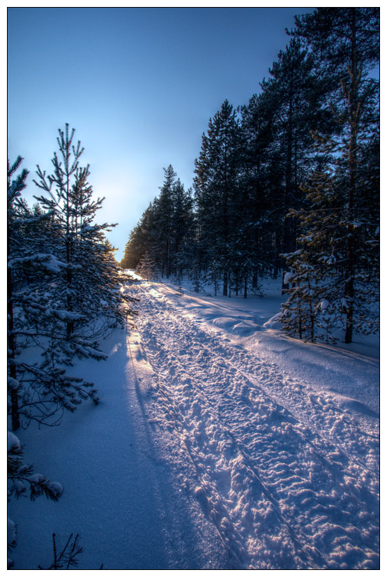 photo "Trail" tags: landscape, winter