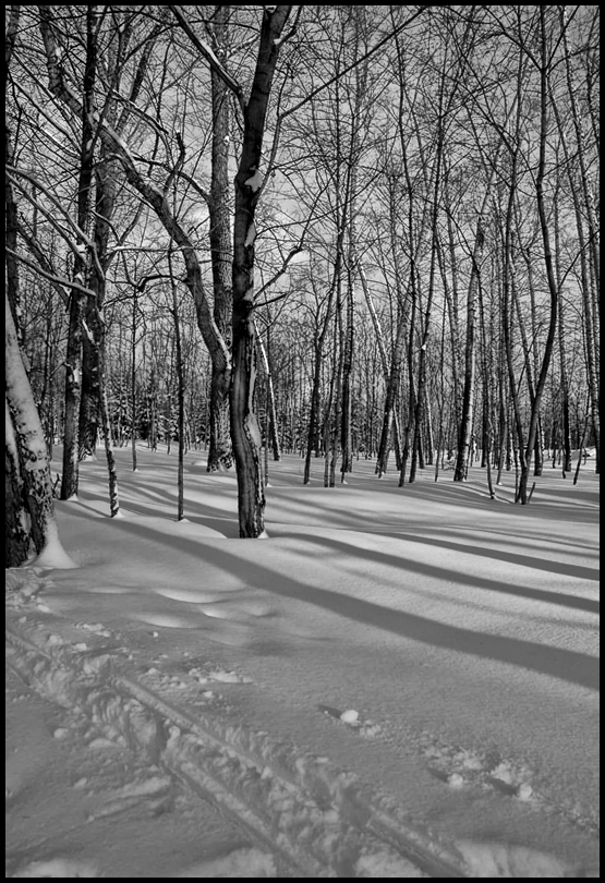 фото "Свет и тени..." метки: пейзаж, зима