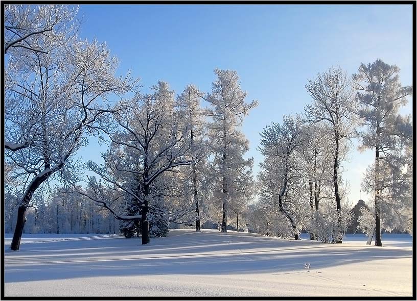 фото "зимние грезы" метки: пейзаж, зима