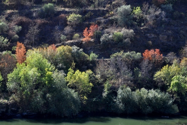 photo "ALTO DOURO" tags: landscape, autumn