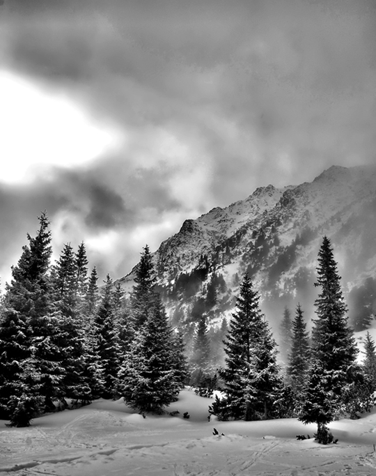 photo "piece of heaven" tags: landscape, black&white, 