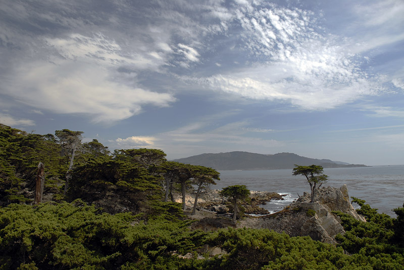 photo "The Lone Cypress" tags: landscape, water