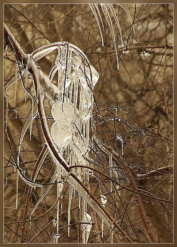 photo "Winter tears" tags: landscape, misc., winter