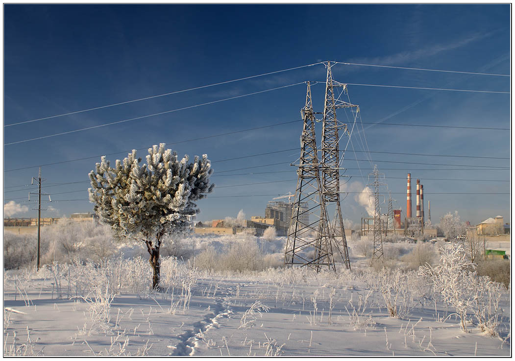 photo "Neighbors" tags: landscape, winter