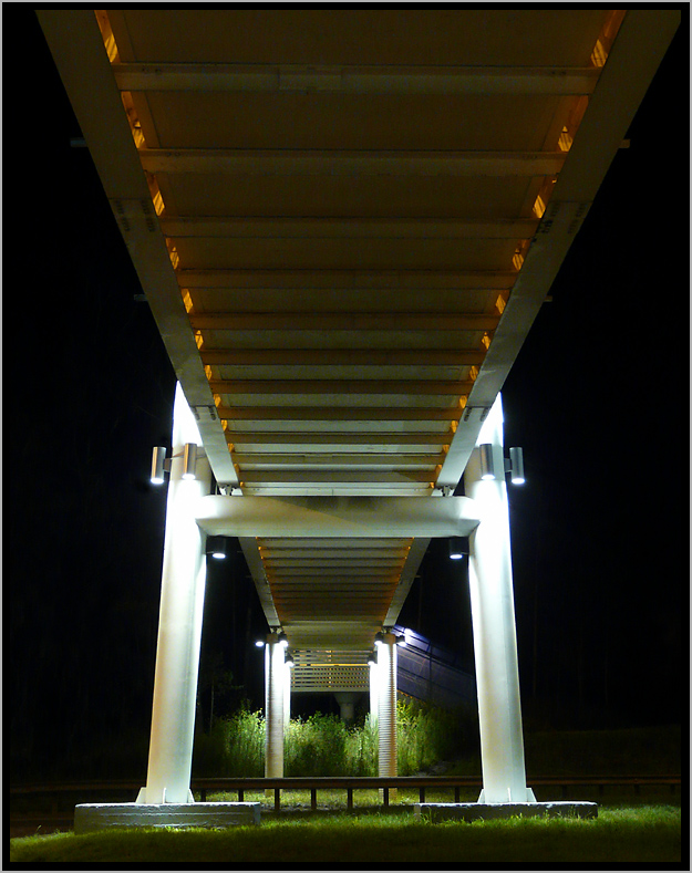 photo "bridge" tags: architecture, landscape, night