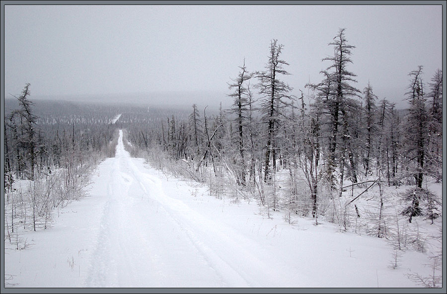 photo "***" tags: landscape, forest, winter