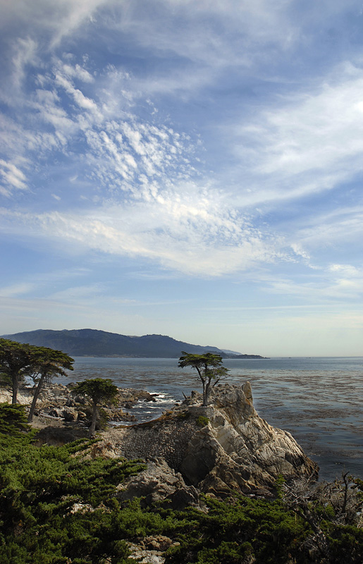 photo "The Lone Cypress" tags: landscape, water