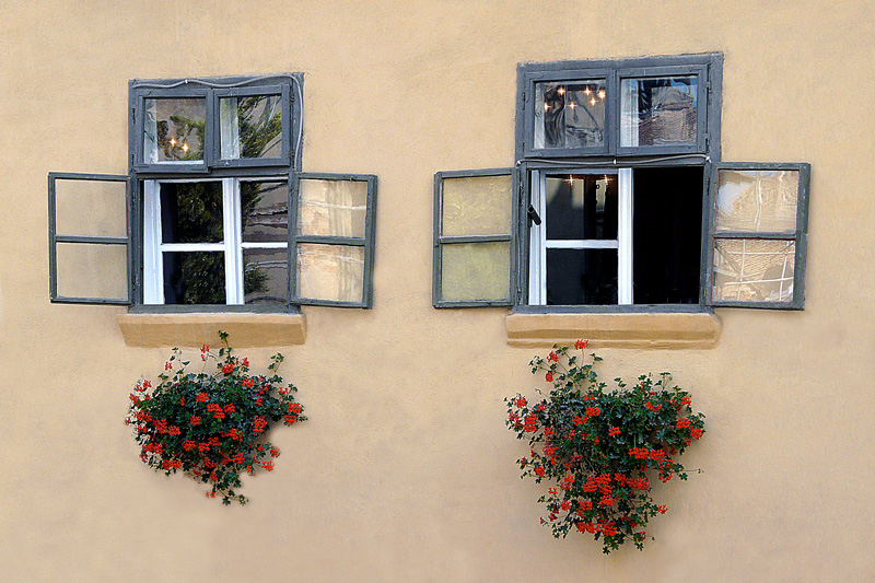 фото "Old windows with flowers / Окна с цветами" метки: архитектура, город, пейзаж, 