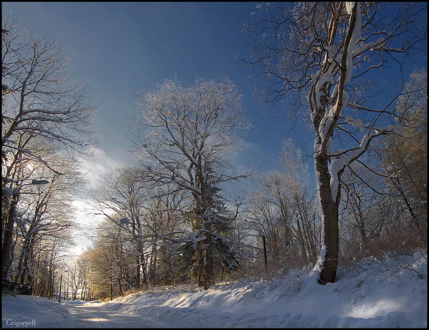 photo "Pargolovsky Shuvalovsky Park. The vehicle-road" tags: landscape, winter