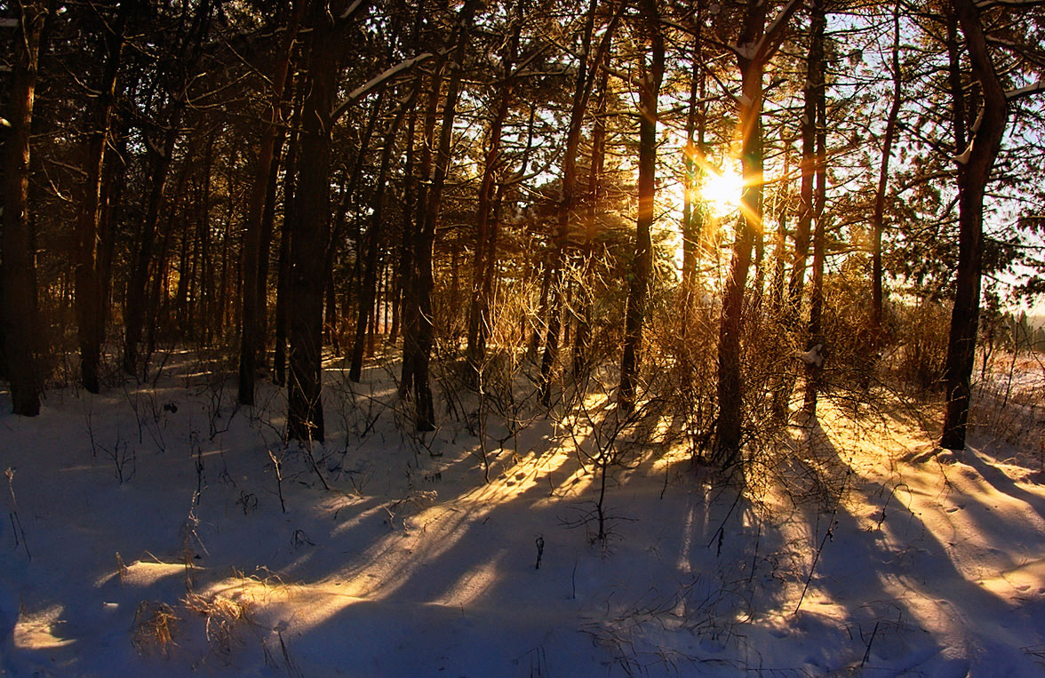 photo "***" tags: landscape, winter