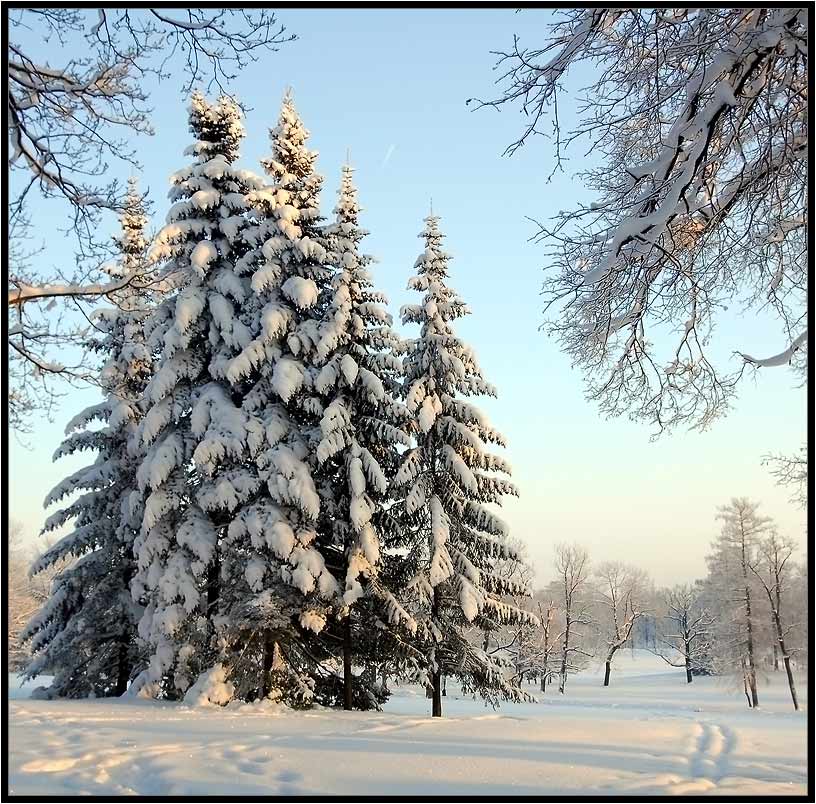 фото "семейка-в-зимних-шубах" метки: пейзаж, зима
