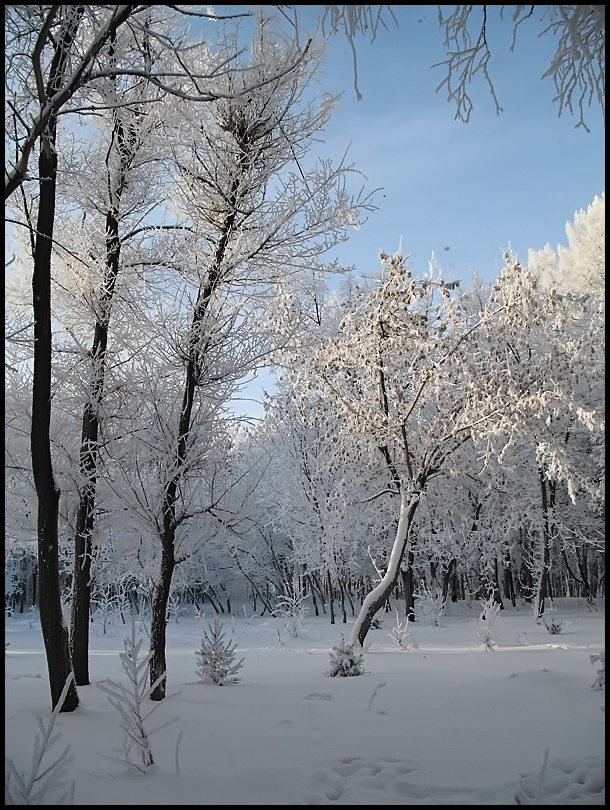 photo "***" tags: landscape, winter