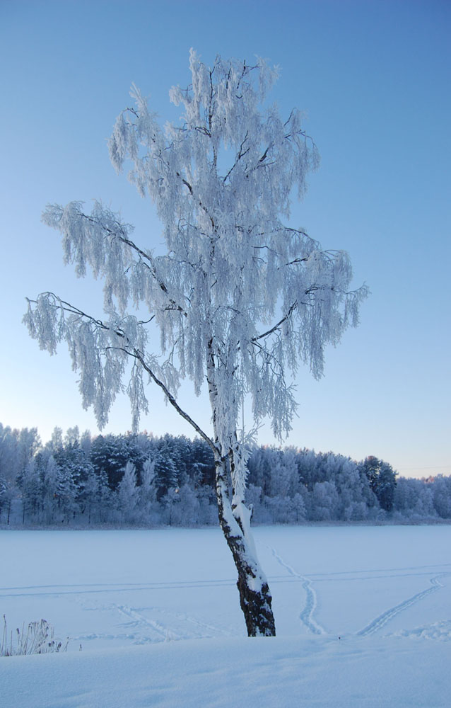 photo "***" tags: landscape, winter