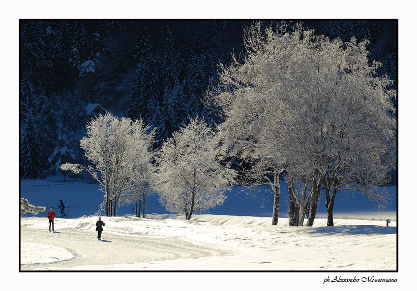 фото "Winter" метки: пейзаж, горы