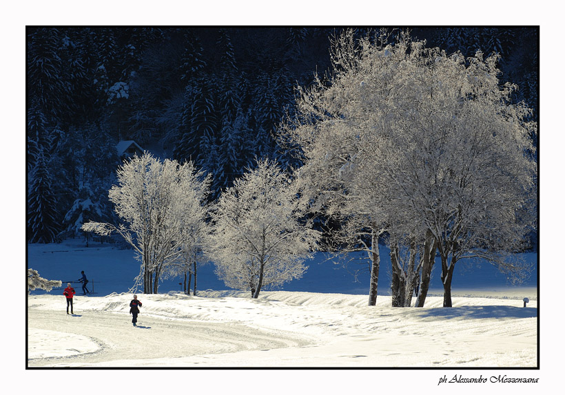 photo "Winter" tags: landscape, mountains