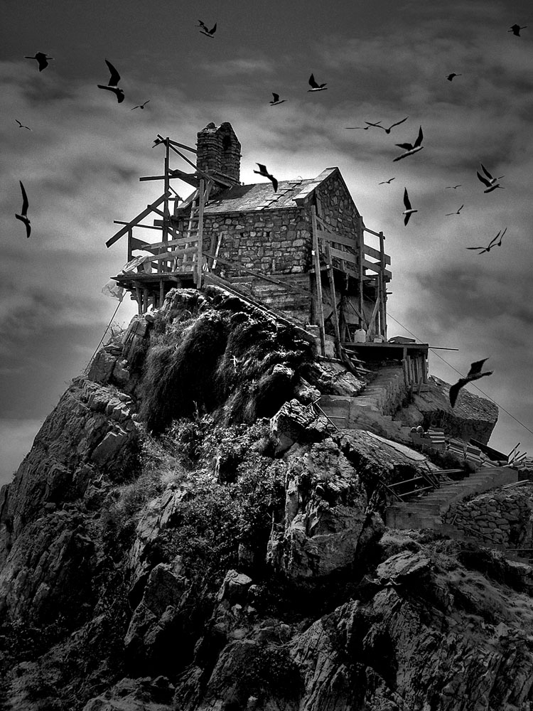 фото "The house of the raising birds..." метки: , 