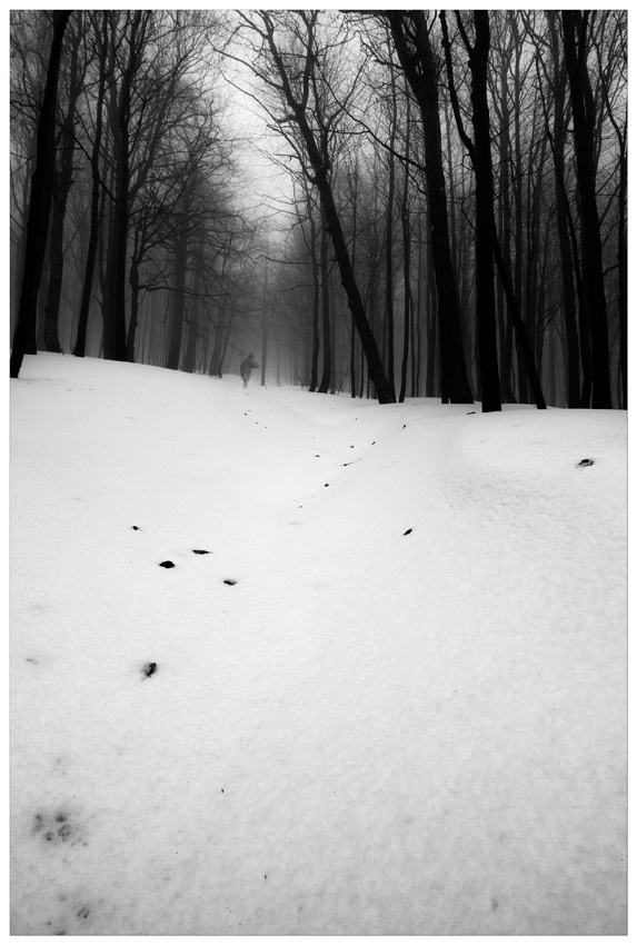 photo "***" tags: landscape, forest, winter