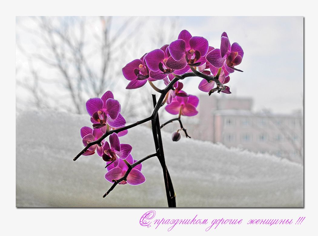 photo "***" tags: misc., 