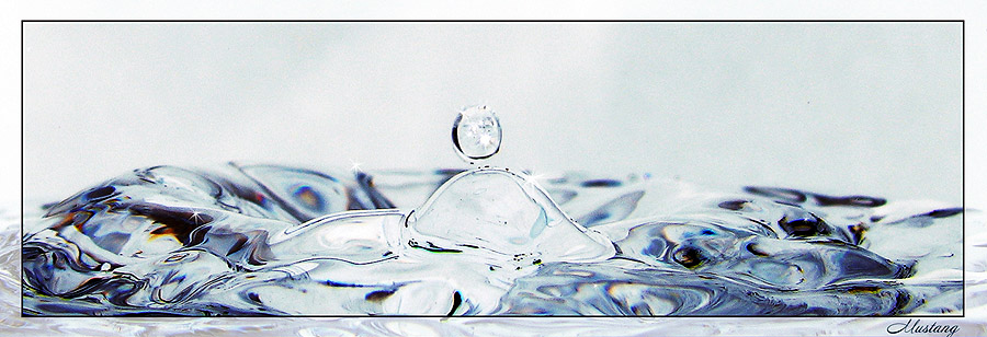 photo "A Moment Lost" tags: macro and close-up, misc., 