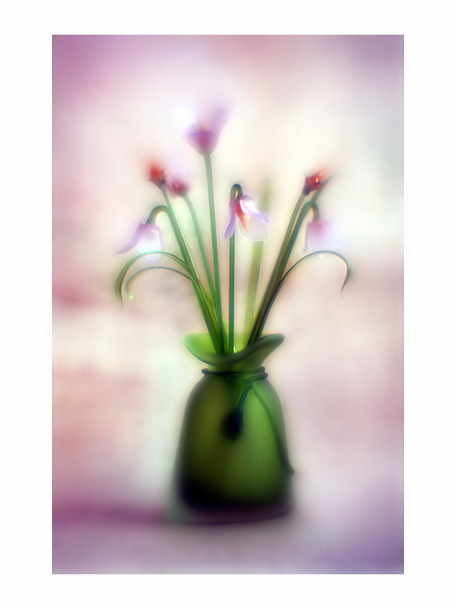 photo "***" tags: still life, nature, 