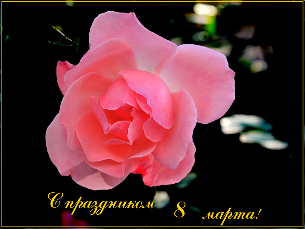photo "***" tags: , 