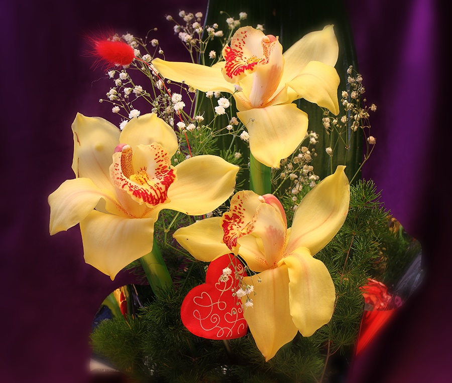 photo "Happy Women Day!" tags: still life, nature, flowers