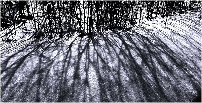 фото "тени...тени" метки: пейзаж, фрагмент, зима