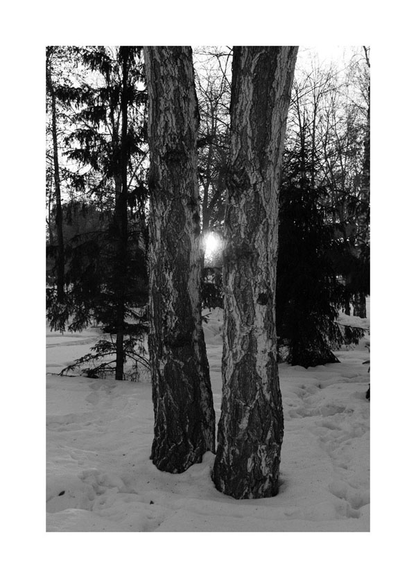 фото "О любви..." метки: черно-белые, пейзаж, зима