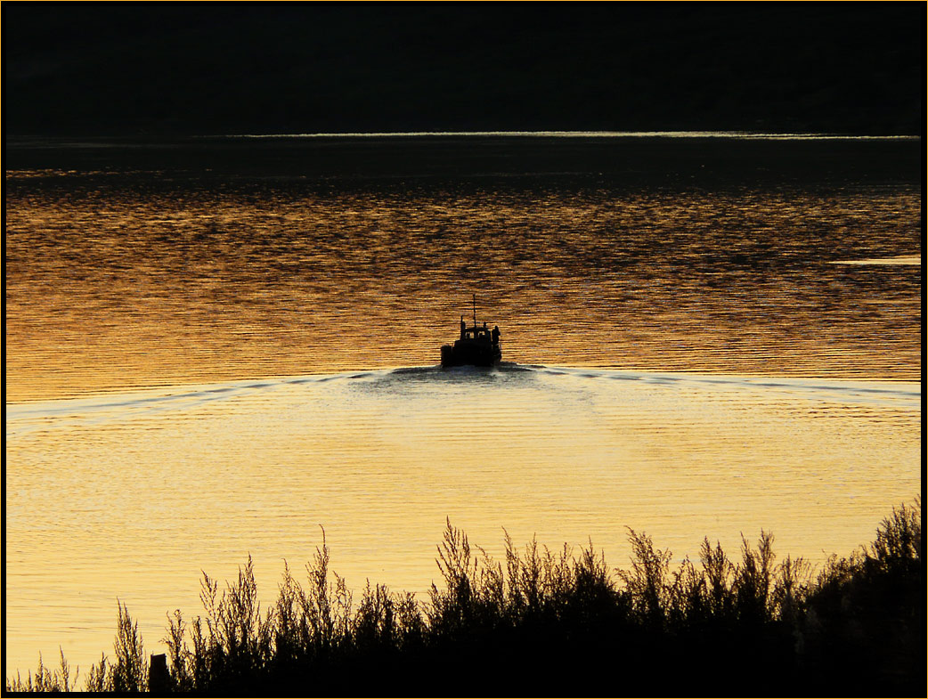 photo "* * * *" tags: landscape, sunset, water