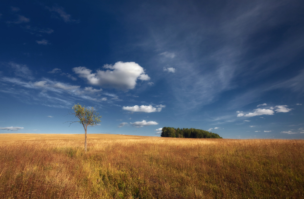 photo "***" tags: landscape, summer