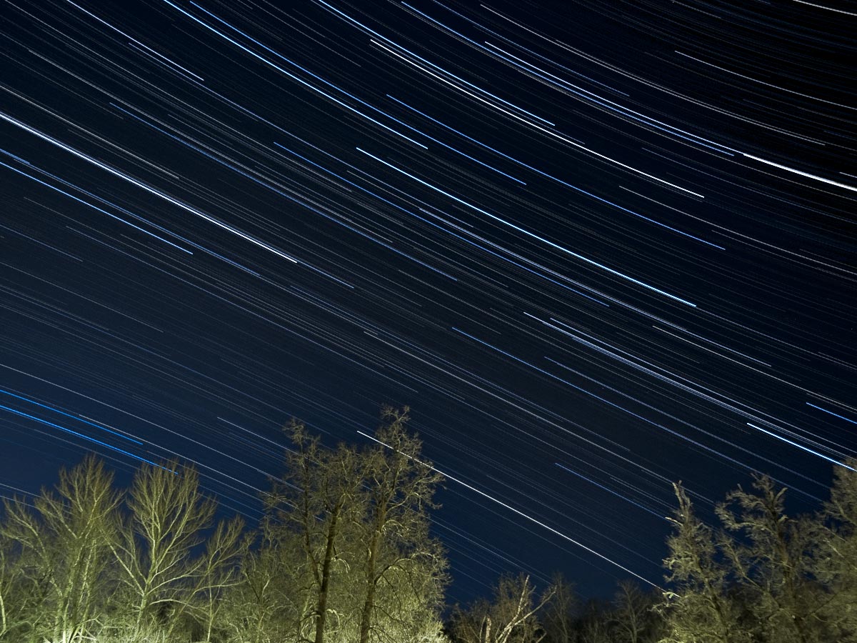 photo "***" tags: landscape, forest, night