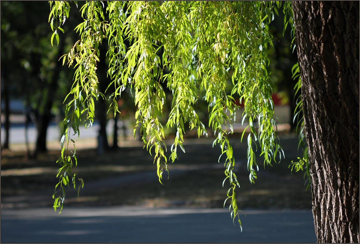 photo "Ground smile laughing heaven_002" tags: , 