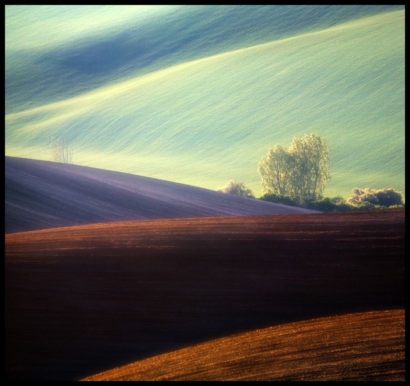 photo "Fields" tags: landscape, 