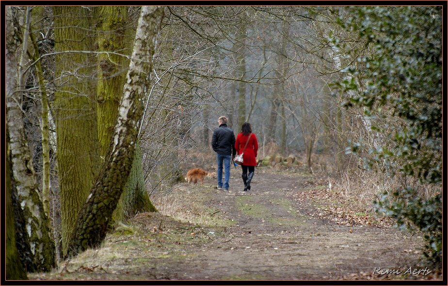 photo "relaxing stroll" tags: landscape, forest, winter