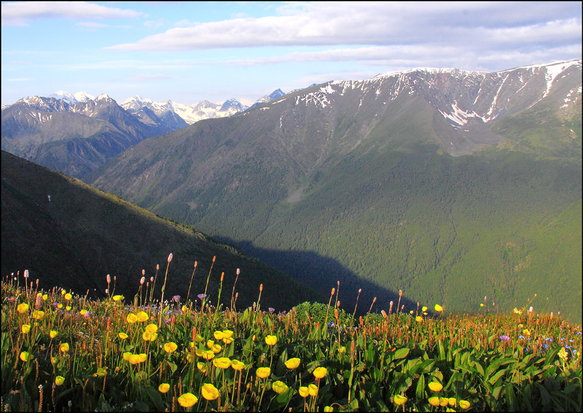 фото "Алтай" метки: пейзаж, горы