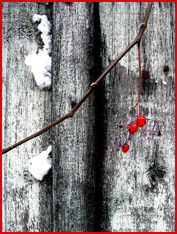 photo "Trinity Blood" tags: abstract, fragment, 