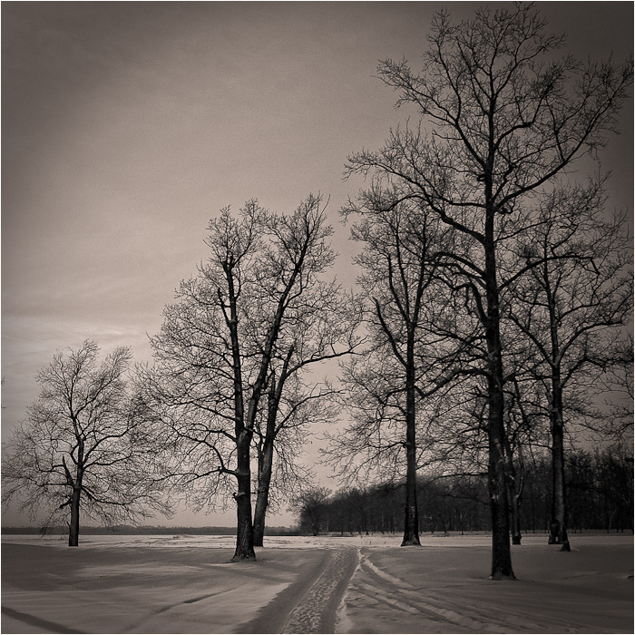 photo "***" tags: landscape, black&white, winter