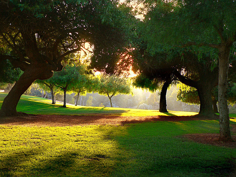 photo "Balboa Park, San Diego, CA" tags: landscape, 