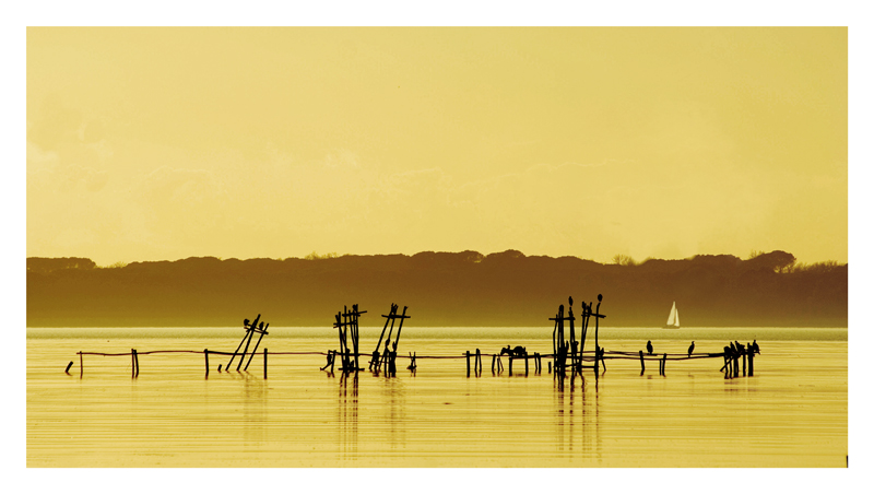 photo "vela" tags: landscape, architecture, 