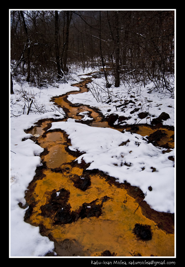 photo "Polluted water" tags: landscape, reporting, water