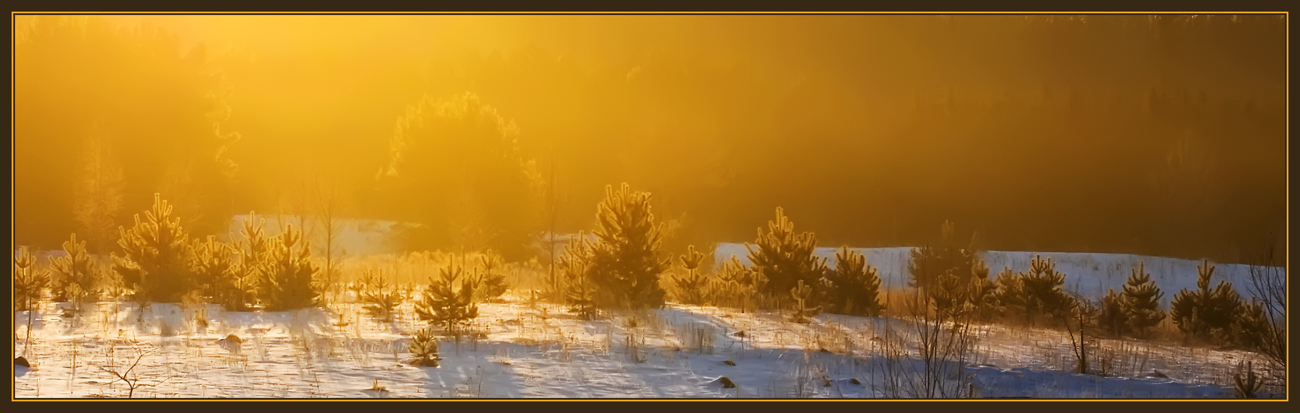 фото "Солнце и снег" метки: пейзаж, зима