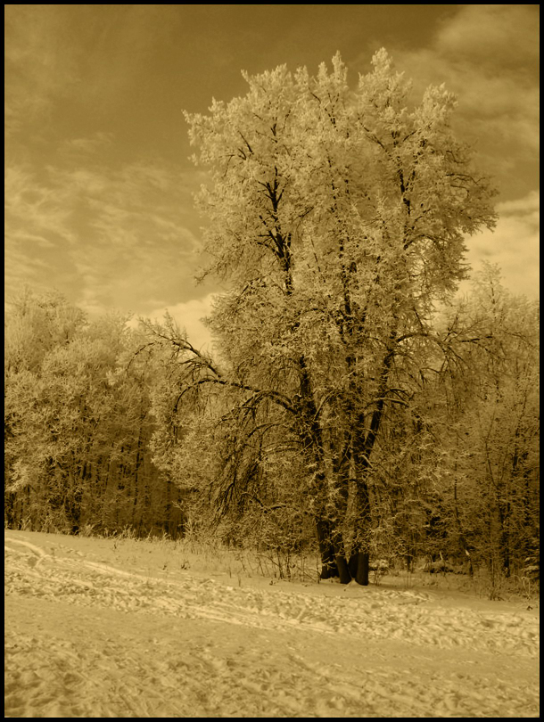 фото "Зима продолжается..." метки: пейзаж, весна