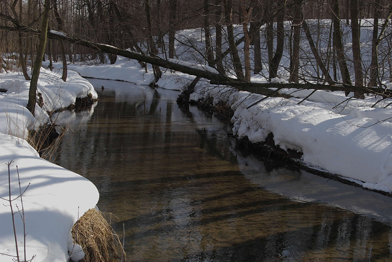 photo "***" tags: landscape, water, winter