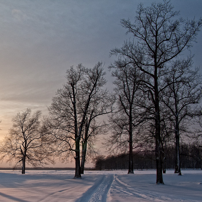 photo "***" tags: landscape, winter