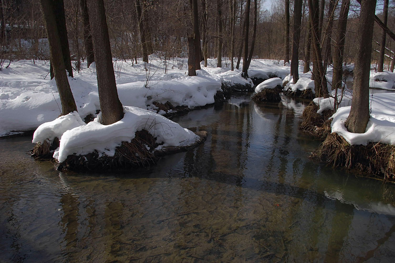 photo "***" tags: landscape, spring, water