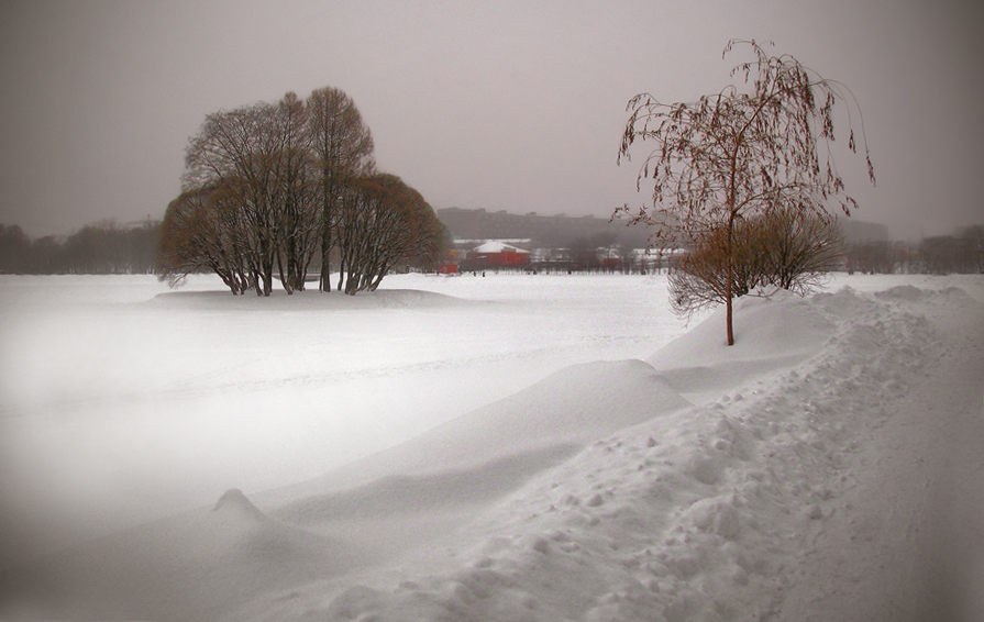 photo "Snowy silence ..." tags: landscape, winter