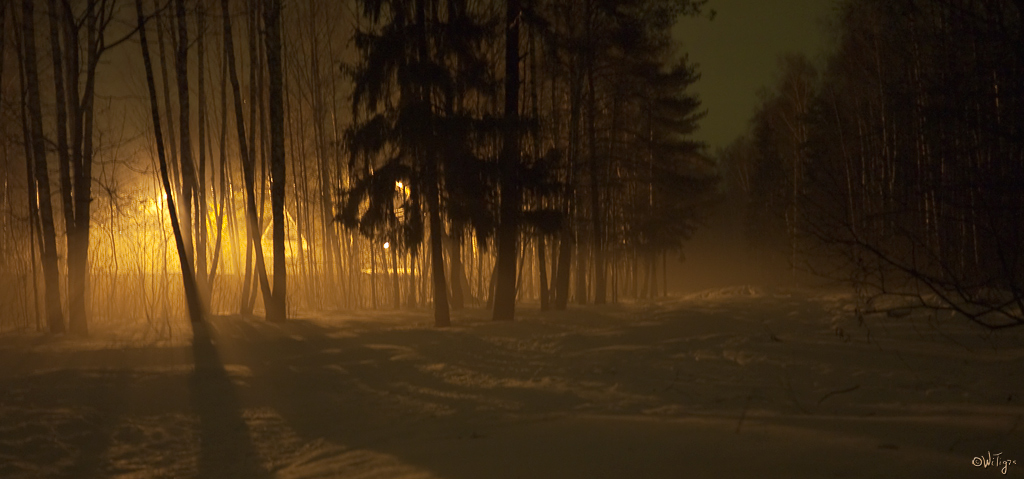 photo "Evening fog" tags: landscape, forest, spring