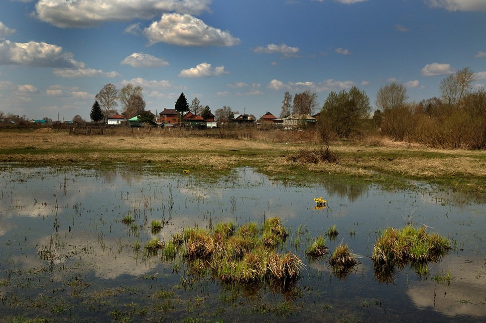 фото "У пруда..." метки: пейзаж, весна, вода